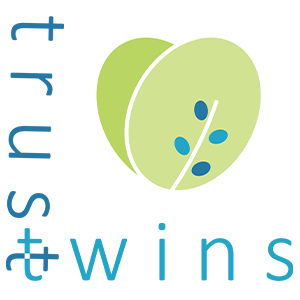 合同会社 trustwins